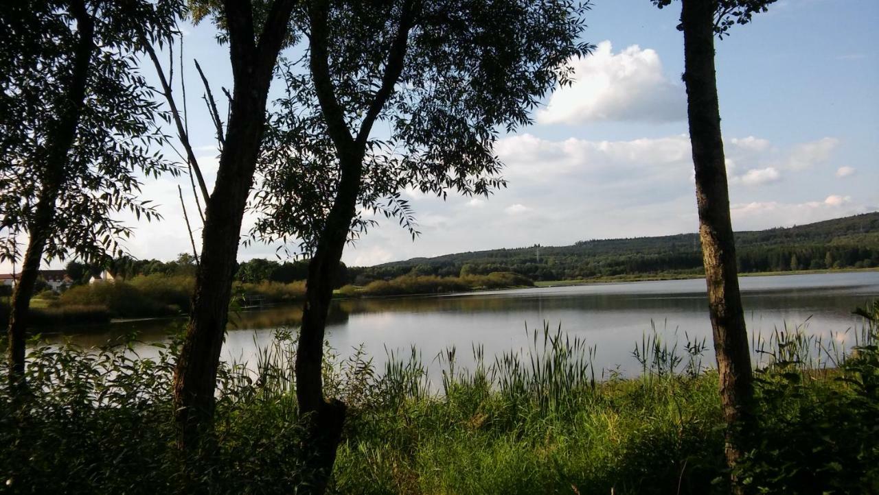 Ferienwohnung In Der Vulkaneifel Ulmen Kültér fotó